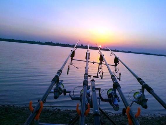 Doar ... NATURA - 4 - 41.jpg